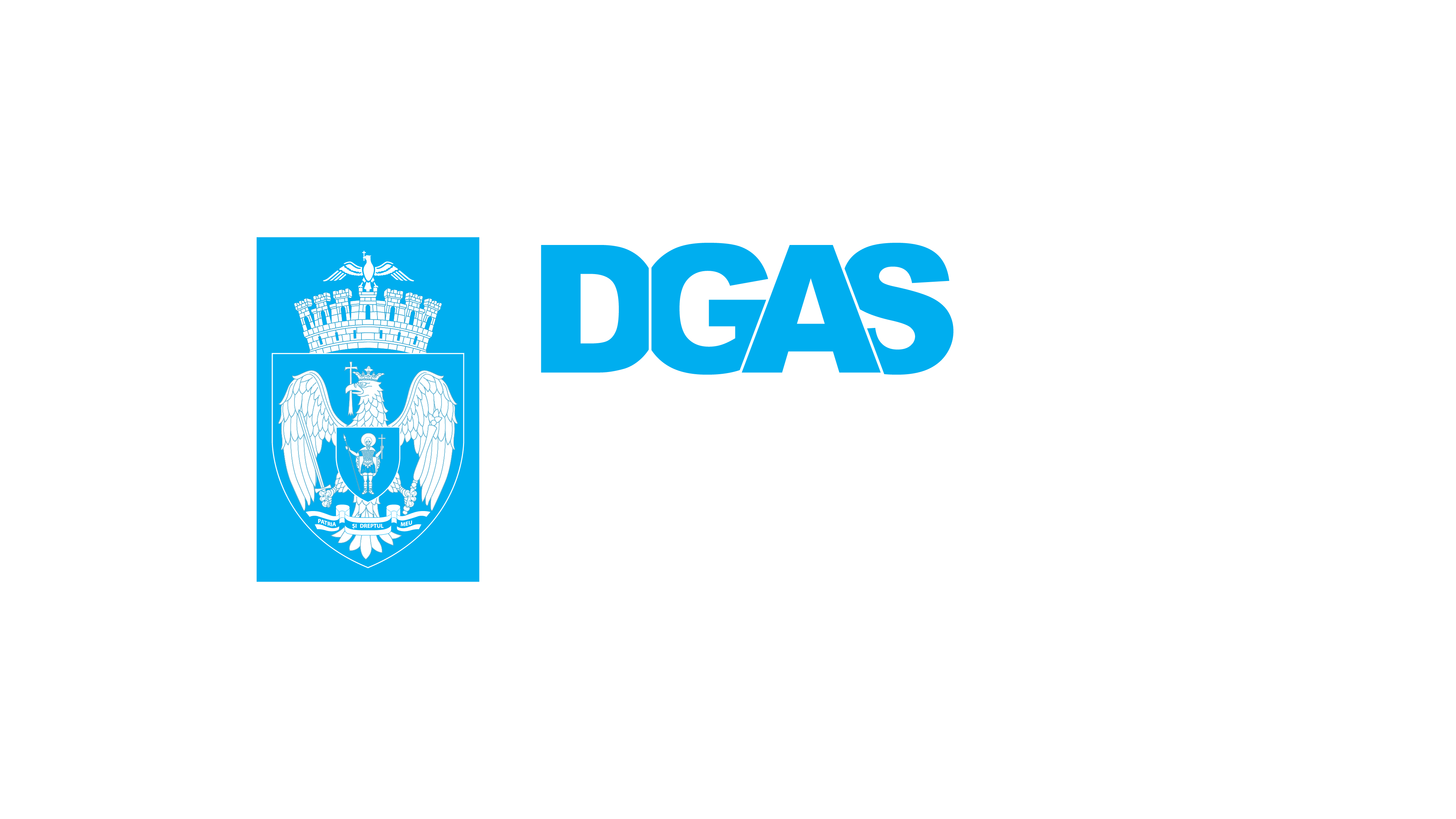 Logo Dgasmb 01 01 Dgasmb